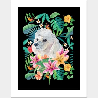 Tropical White Standard Poodle Posters and Art